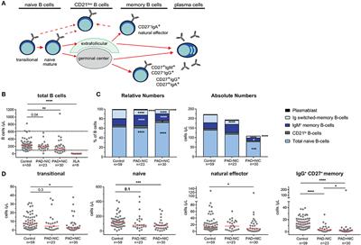 Predominantly Antibody-Deficient Patients With Non-infectious Complications Have Reduced Naive B, Treg, Th17, and Tfh17 Cells